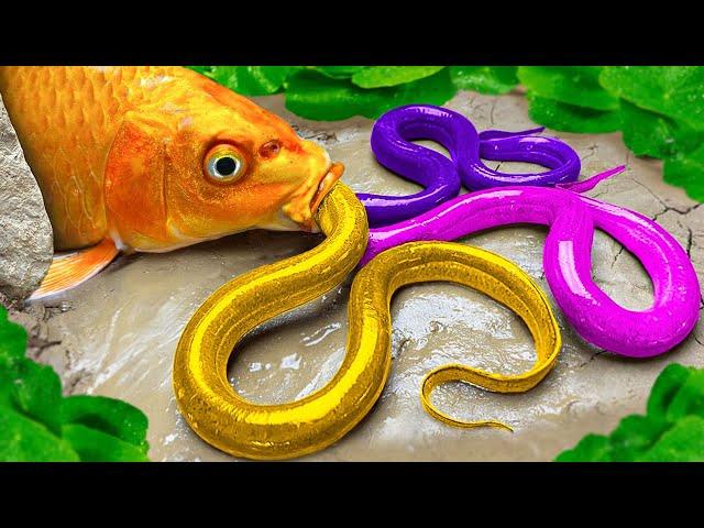 Funny Cartoon Rainbow Fish, Colorful Eel Lego Fish | ASMR MUKBANG lobster, Golden Egg, spicy noodles