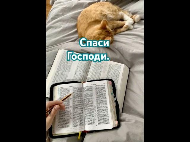 Спаси Господи.