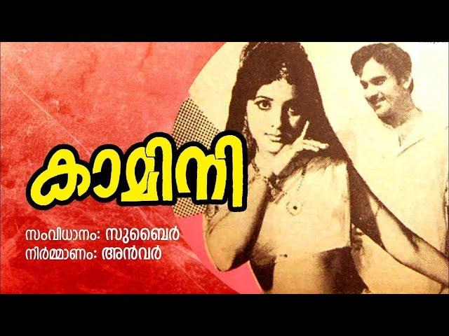 Kamini Malayalam Full Movie | Prema | T. R. Omana | Raghavan | Old Evegreen Movies
