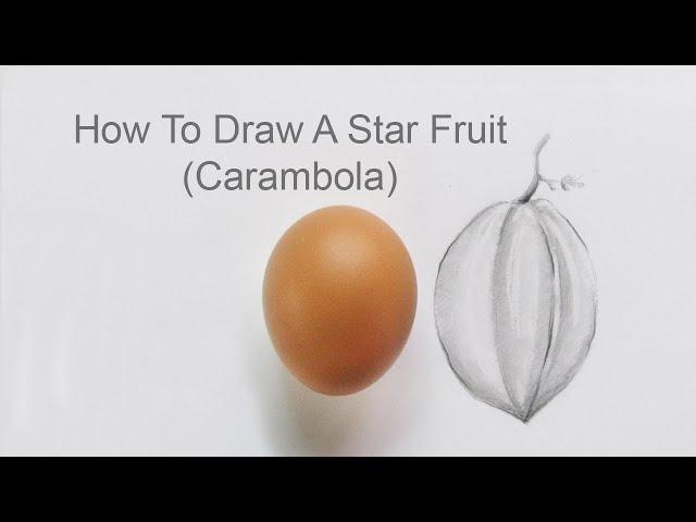 How to Draw a Star Fruit (Carambola) Step By Step Pencil Sketch