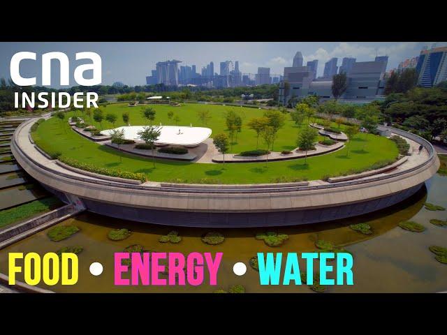 Sustaining Singapore's Water Supply | Food, Energy, Water - Part 3 | Full Episode