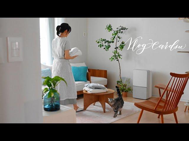 장마철은 이렇게 보내봐요! 날씨 타는 사람을 위한 스마트한 살림 방법 / ft. 위닉스 뽀송 인버터 22L 제습기