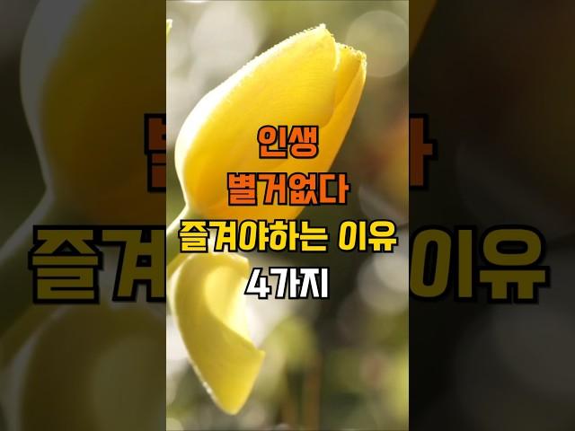 인생 별거없다 즐겨야하는 이유 4가지 #좋은글 #지혜
