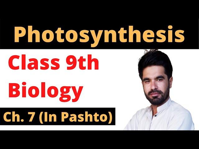 Photosynthesis in pashto || Home of biology