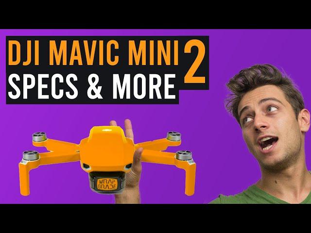 DJI Mavic mini 2 - All the specs revealed (19 things you should know about it)