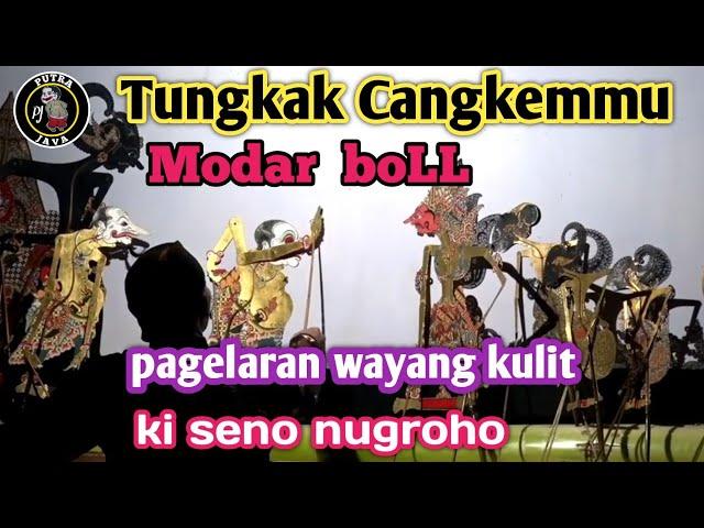 tungkak cangkemmu modar boLL#wayangkulit#dalangseno #kisenonugroho