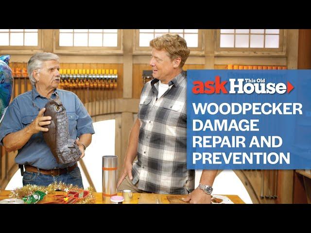 Woodpecker Damage Repair and Prevention | Ask This Old House