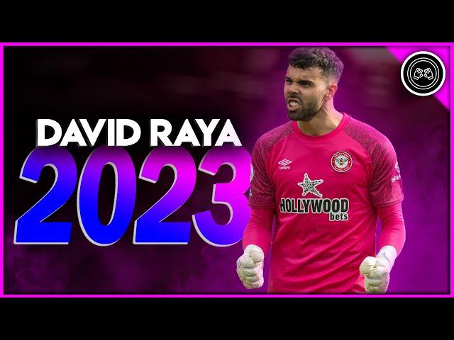 David Raya  2022/23 ●  The protector ● Best Saves & Passes Show | HD