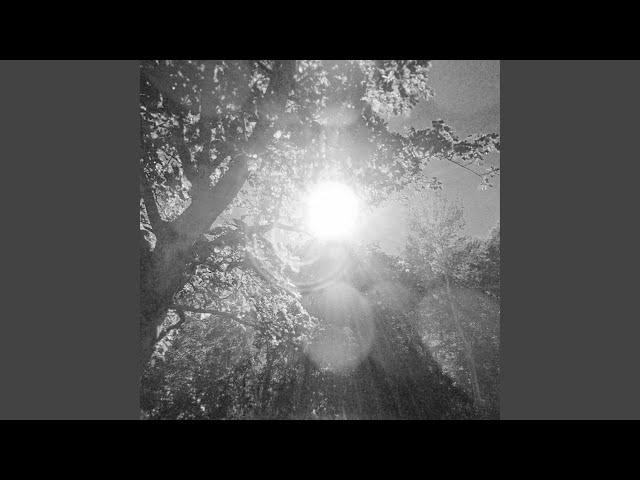 Surfing in Hawaii (My First Cakewalk Song)
