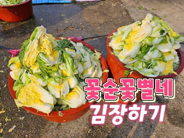 일년의 양식 김장하기 2일차 버무리기#품바 #꽃순이 #꽃별이 #알고리즘 #청주 #오창