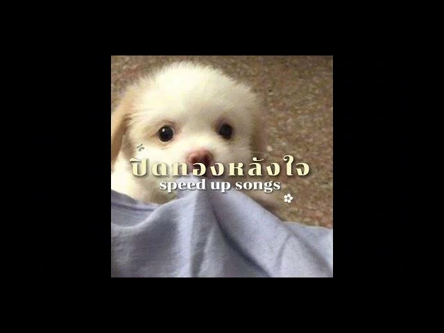 ปิดทองหลังใจ - INK WARUNTORN ( speed up )