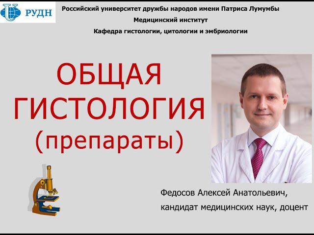 ПРЕПАРАТЫ ПО ОБЩЕЙ ГИСТОЛОГИИ  (диагностика и обоснование на коллоквиуме и экзамене)