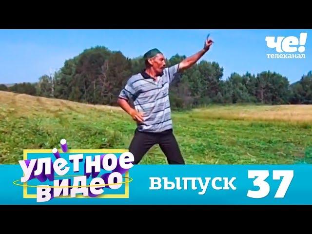 Улетное видео | Выпуск 37