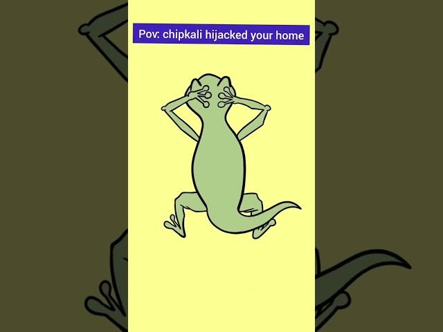 Chipkali hijacked Your Home(animations video)#animation #ytshorts #maryam #viral