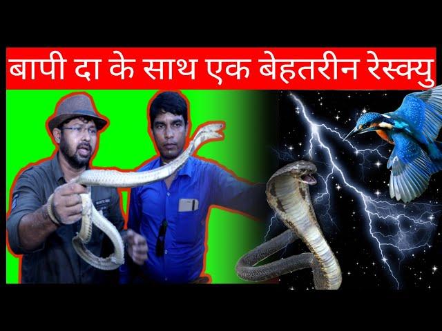 Bapi da snake expert nagin ka rescue karte hue bapi da ke sath video jarur dekhen 9955196504