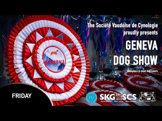 Geneva Dog Show 2024 - Friday