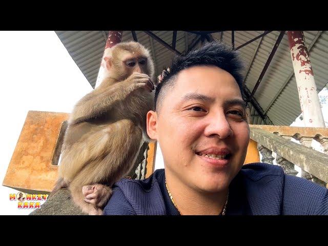 Monkey Kaka's Unconditional Love for Dad: A Touching Story