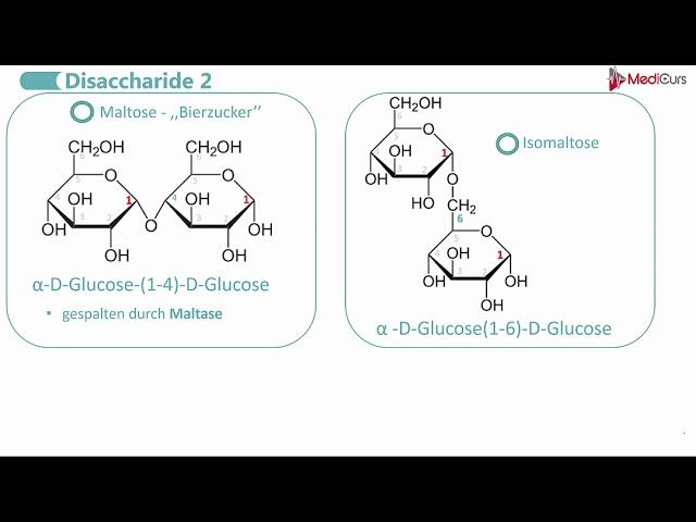 Disaccharide