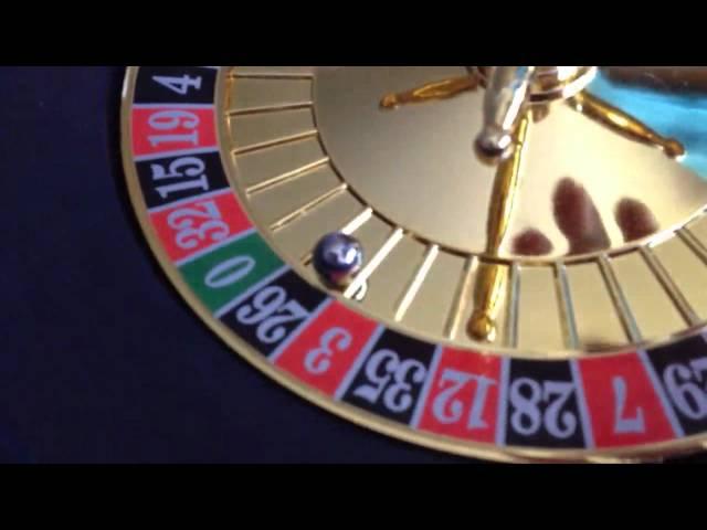 Playing Roulette with cat