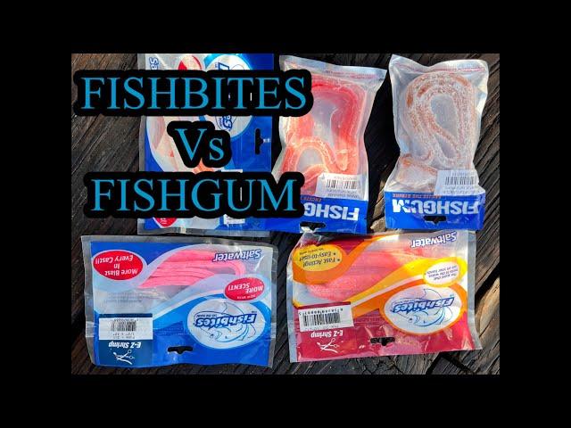 FISHBITES VS FISHGUM #fishingexperiments