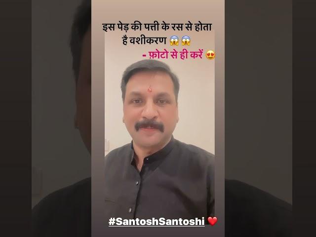 इस पेड़ की पत्ती के रस से होता है दिव्य वशीकरण । संतोषी जी का अनोखा शोध । #santoshsantoshi