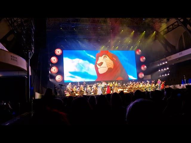 Disney in Concert Frankfurt 2024