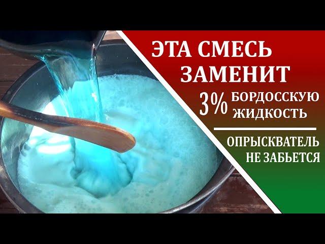 Бордосская смесь 3% забивает опрыскиватель.  Чем ее заменить при осенней обработке ягодников