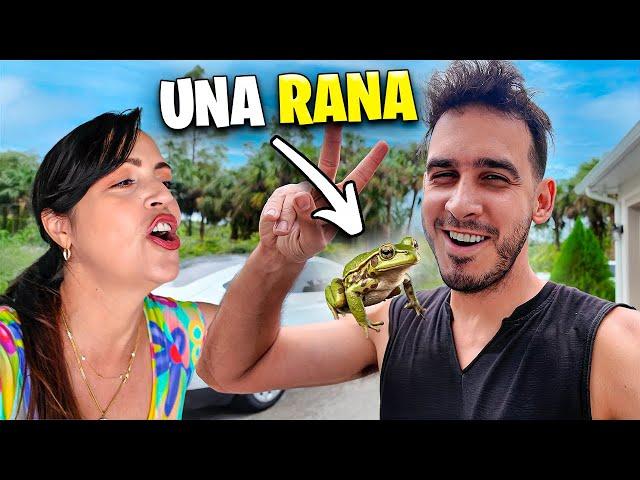 La Rana y Harolin  La Vida en La Finquita Bonita es Así 🫣 Sandra Cires Vlog