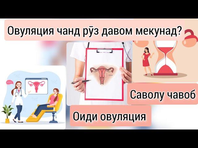 Овуляция чанд руз давом мекунад? Кадом вақт овуляция мешавад? Чавоб ба саволхо