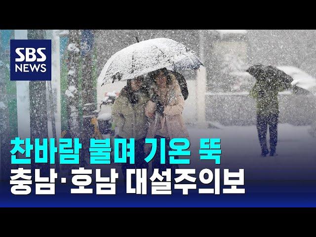 [날씨] 찬바람 불며 기온 뚝…충남·호남 대설주의보 / SBS