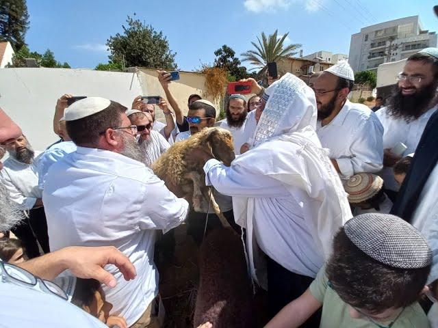 נדיר! מצוות פטר חמור - ישיבת המקובלים "בית אל" בראשות מו"ר הרב ישראל אביחי שליט"א