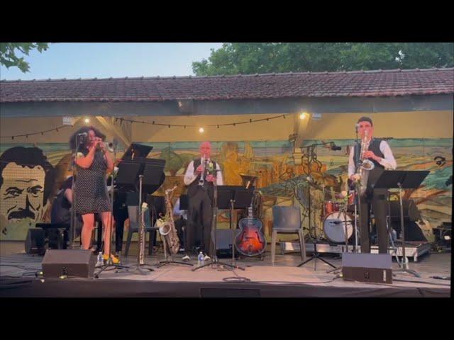 Les Suricats Septet - Festival de Big Band de Pertuis 2023 - Viper Mad