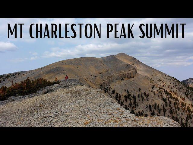 MT CHARLESTON PEAK SUMMIT