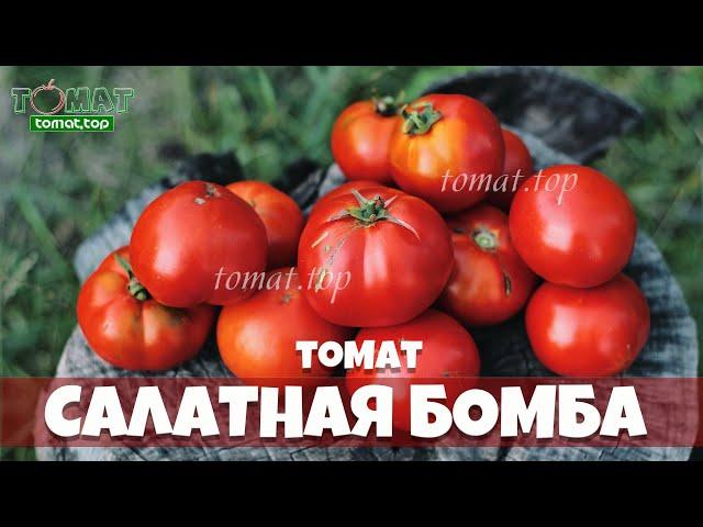 Томат Салатная бомба. Оправдал название или нет? Сорта томатов из садовых магазинов