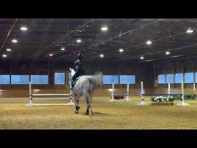 Alison Roh | Compilation of training sessions aboard current equitation horse “Echo”