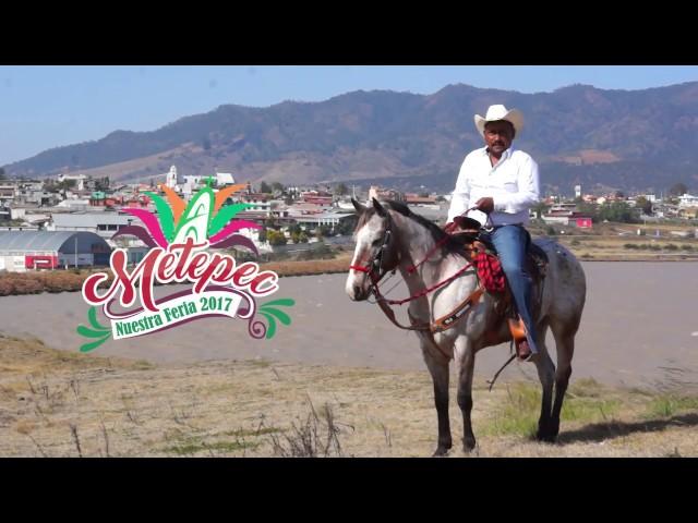 FERIA METEPEC 2017