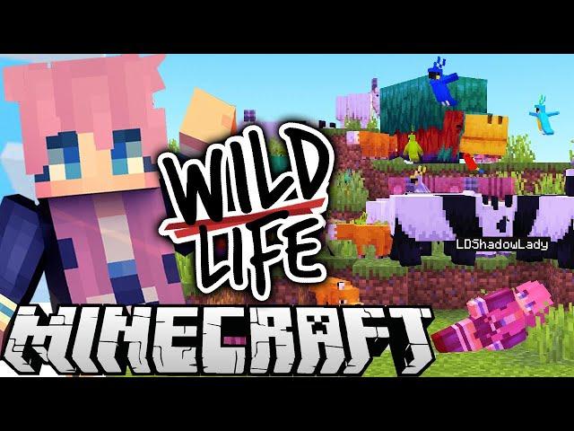 The WORST Best Day Ever | Ep. 6 | Wild Life