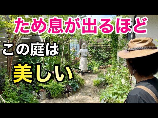 【出ました絶品】コンパクトなお庭で美しすぎるは作れます　　【カーメン君】【個人庭】【りょうこさん】【初心者】