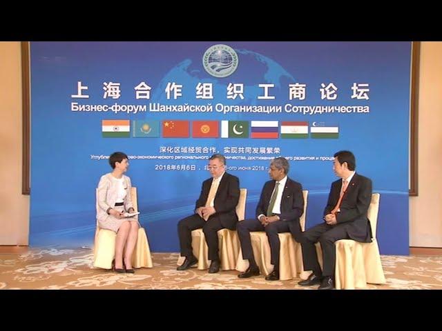 World Insight: SCO gets down to business