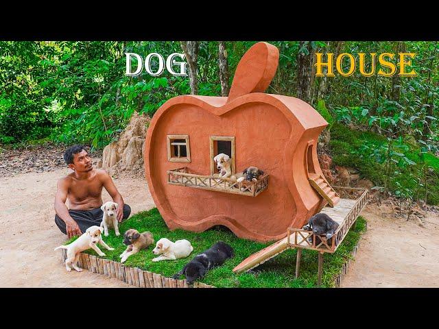 Rescue Puppies from tunnel Build APPLE House for Dogs