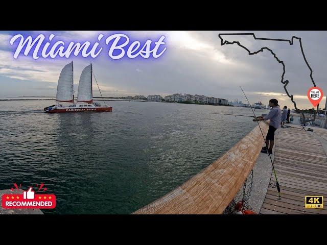 Fishing in MIAMI ( 5 top best LOCATIONS)*Everything you need to know