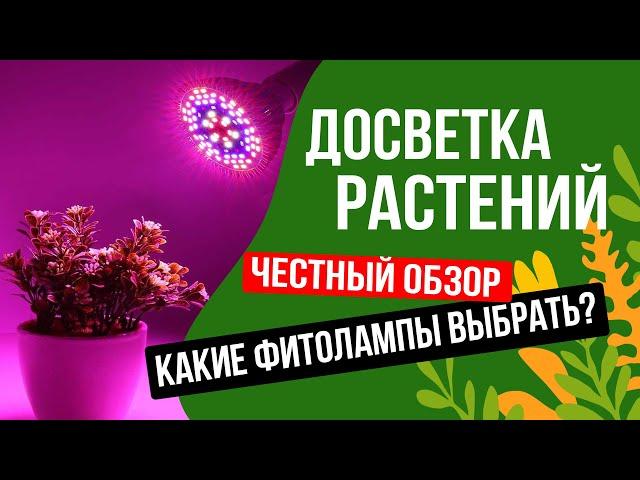ДОСВЕТКА РАССАДЫ СЕКРЕТЫ / ОБЗОР НА ФИТОЛАМПЫ