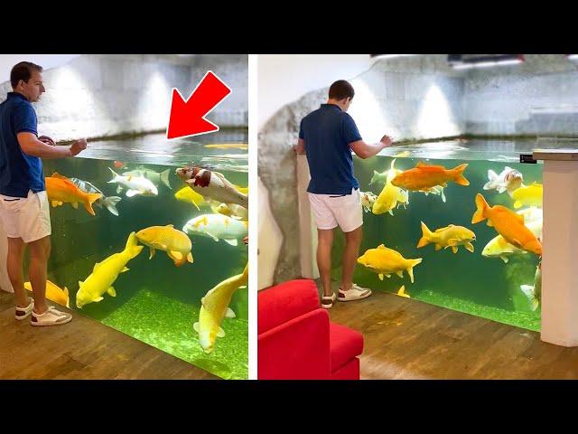 Amazing Indoor Koi Pond!