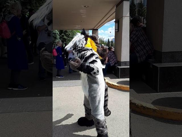 FurEH! 2019 - Cassidy the Civet