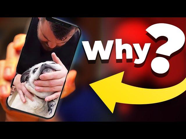 Veterinarian Reacts To More Animal Chiropractors