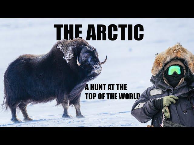 The Arctic|| Bowhunting muskox North of the Arctic Circle with Inuit Guides