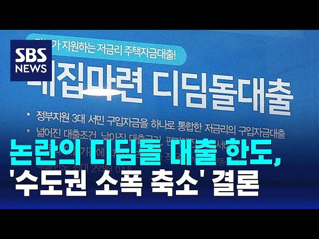 논란의 디딤돌 대출 한도, '수도권 소폭 축소' 결론 / SBS