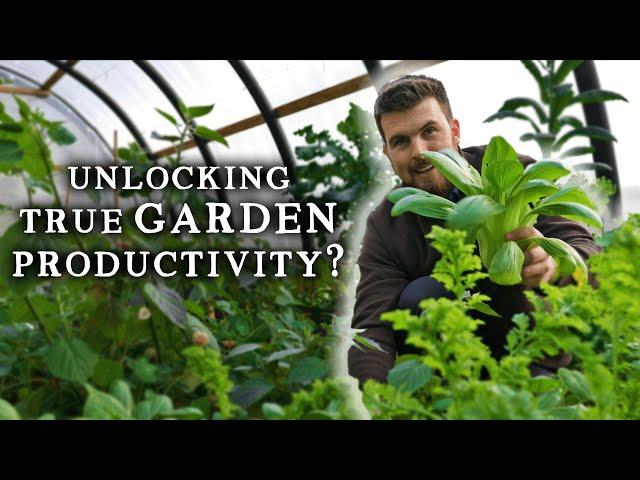 The Secret to a Highly-Productive Vegetable Garden is Flavour