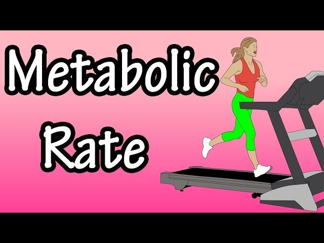 Metabolic Rate - What Is Metabolic Rate - Basal Metabolic Rate - How Many Calories Burned In A Day