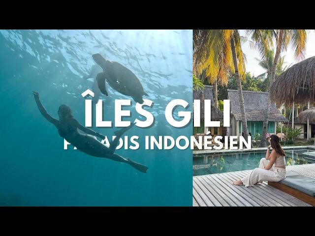 Îles Gili : snorkeling, plages et tortues à Gili Air, Lombok